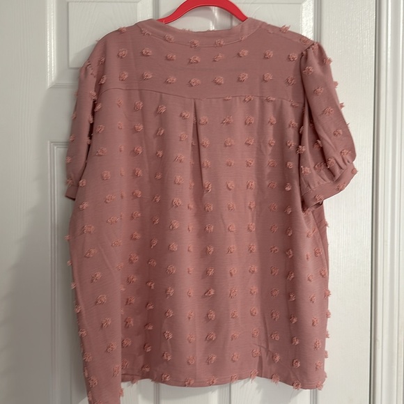 Pom Pom V-neck Puff Sleeve Blouse - Picture 3 of 4